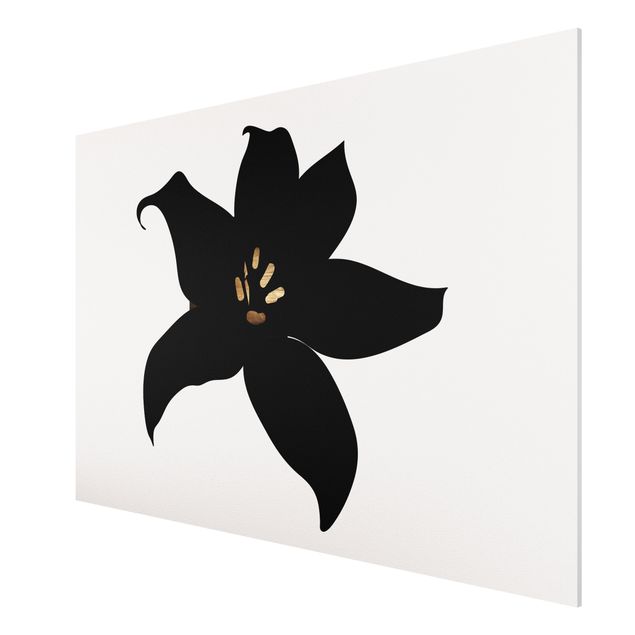 Forex schilderijen Graphical Plant World - Orchid Black And Gold