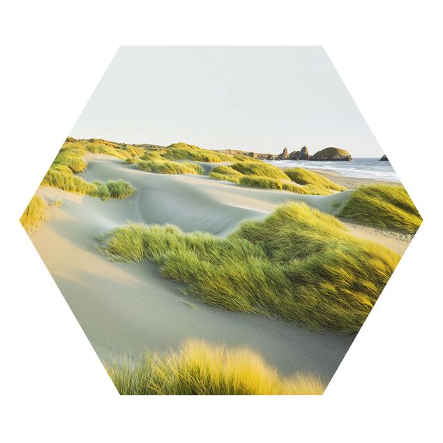 Hexagons Forex schilderijen Dunes And Grasses At The Sea