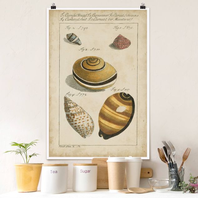 Posters Vintage Worm Drawing Yellow