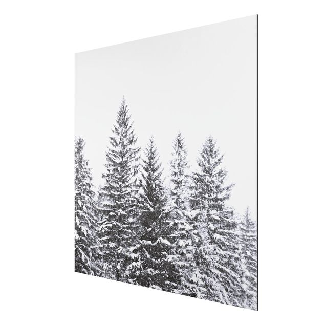 Aluminium Dibond schilderijen Dark Winter Landscape