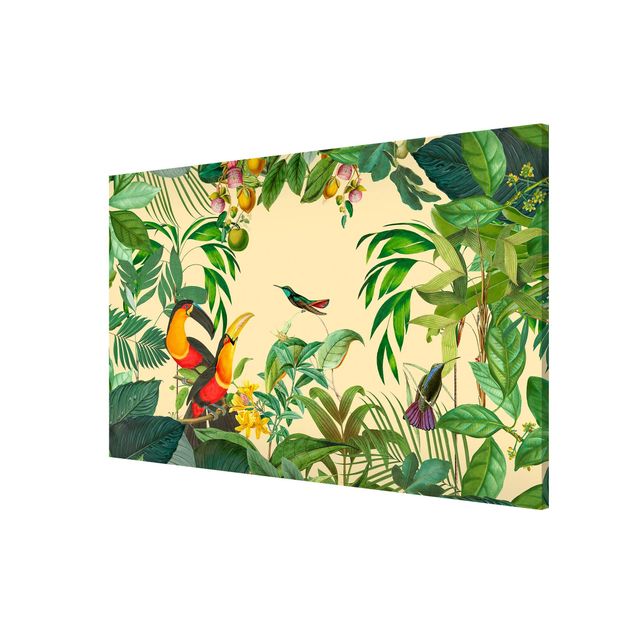Magneetborden Vintage Collage - Birds In The Jungle