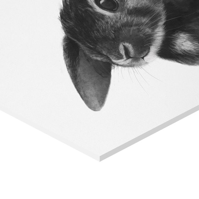 Hexagons Forex schilderijen Illustration Rabbit Black And White Drawing
