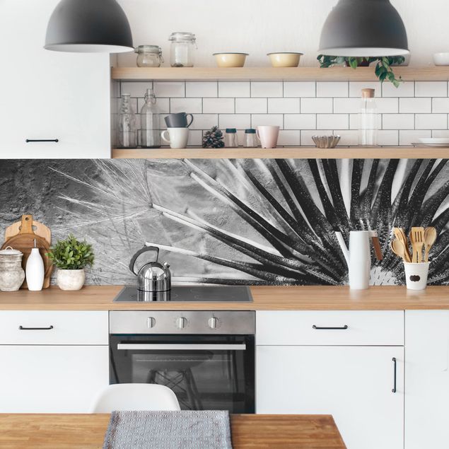 Achterwand voor keuken en zwart en wit Dandelion Black & White