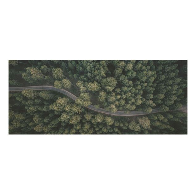 Houten schilderijen Aerial View - Forest Road From The Top