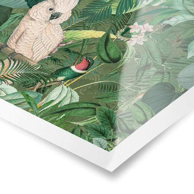 Posters Vintage Collage - Kakadu And Hummingbird