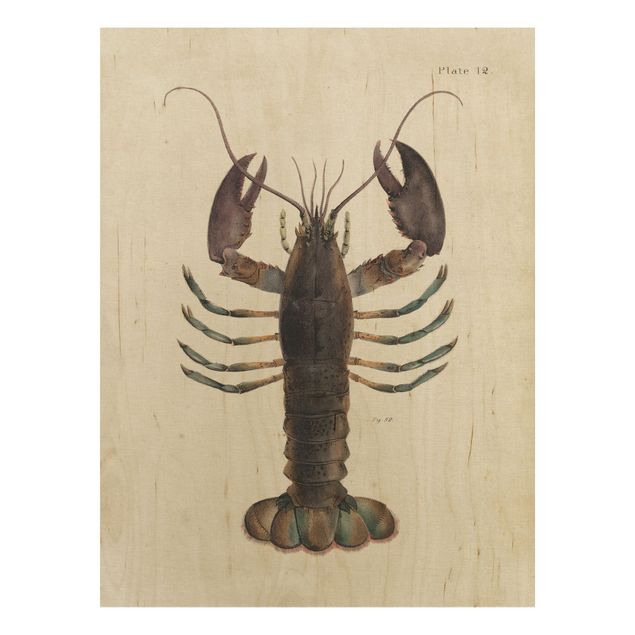Houten schilderijen Vintage Illustration Lobster