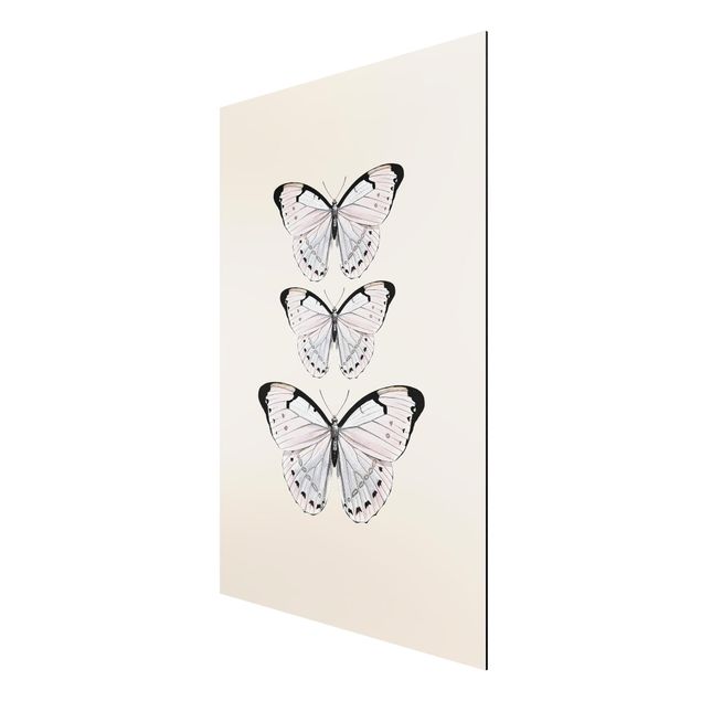 Aluminium Dibond schilderijen Butterfly On Beige
