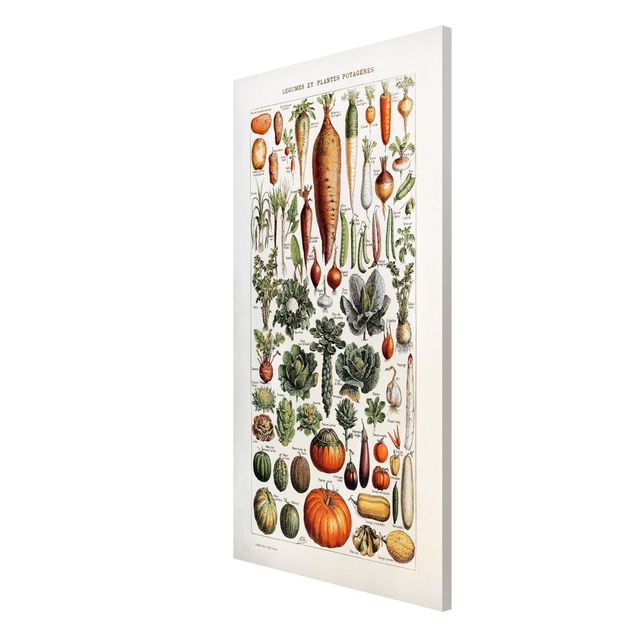 Magneetborden Vintage Board Vegetables