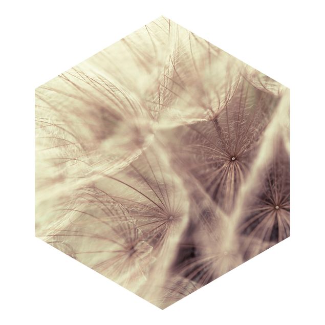 Hexagon Behang Detailed Dandelion Macro Shot With Vintage Blur Effect