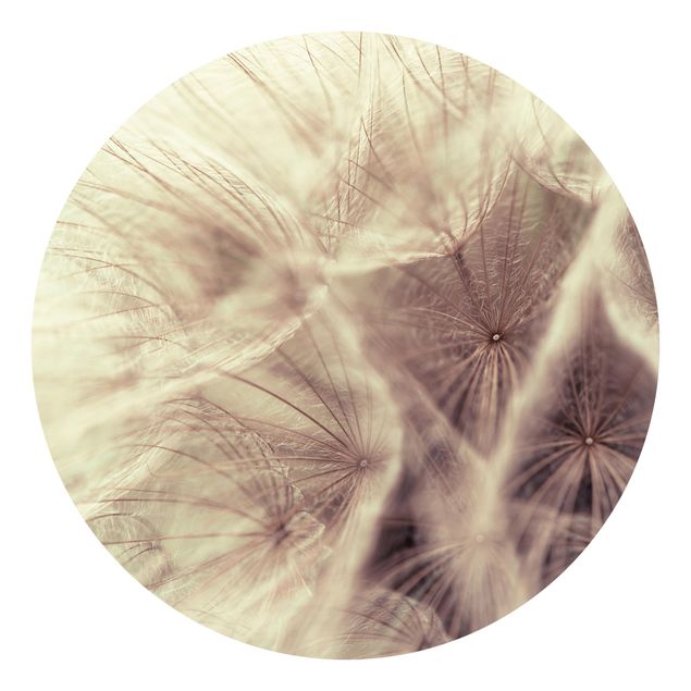 Behangcirkel Detailed Dandelion Macro Shot With Vintage Blur Effect