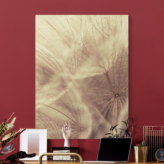 Canvas schilderijen - Goud Detailed Dandelion Macro Shot With Vintage Blur Effect