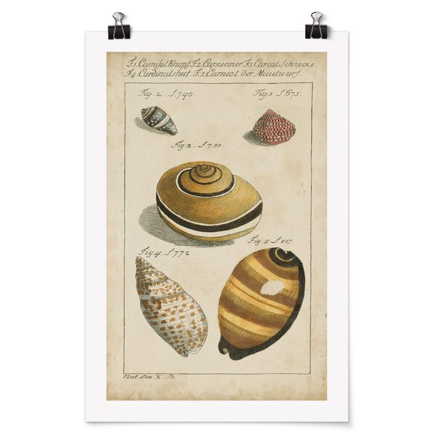 Posters Vintage Worm Drawing Yellow