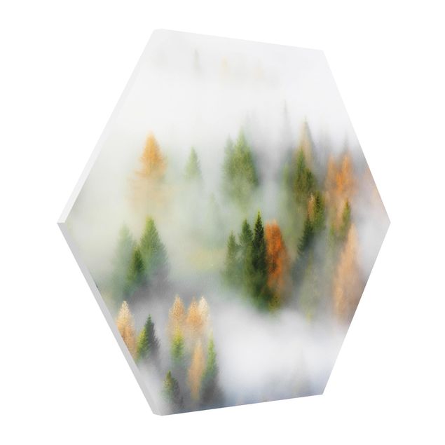 Hexagons Forex schilderijen Cloud Forest In Autumn