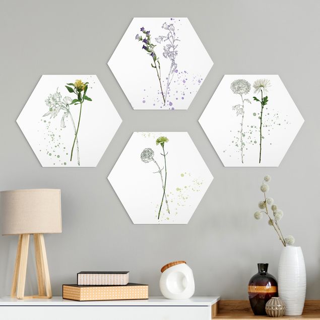 Hexagons Aluminium Dibond schilderijen - 4-delig Botanical Watercolour Set I