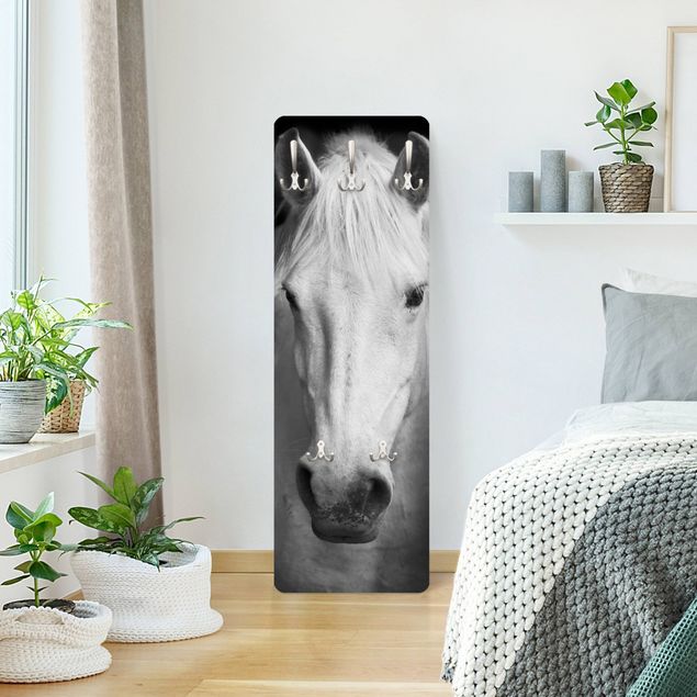 Wandkapstokken houten paneel Dream Of A Horse
