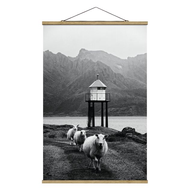 Stoffen schilderij met posterlijst Three Sheep On the Lofoten
