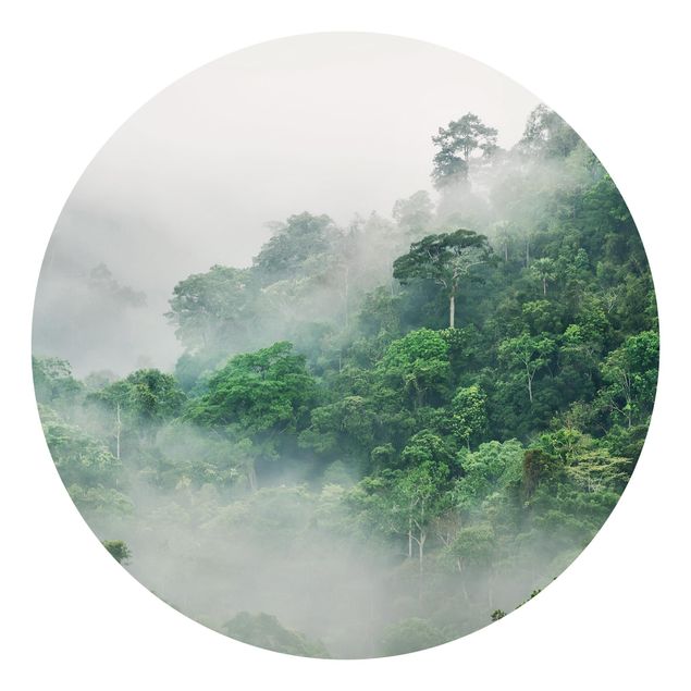 Behangcirkel Jungle In The Fog
