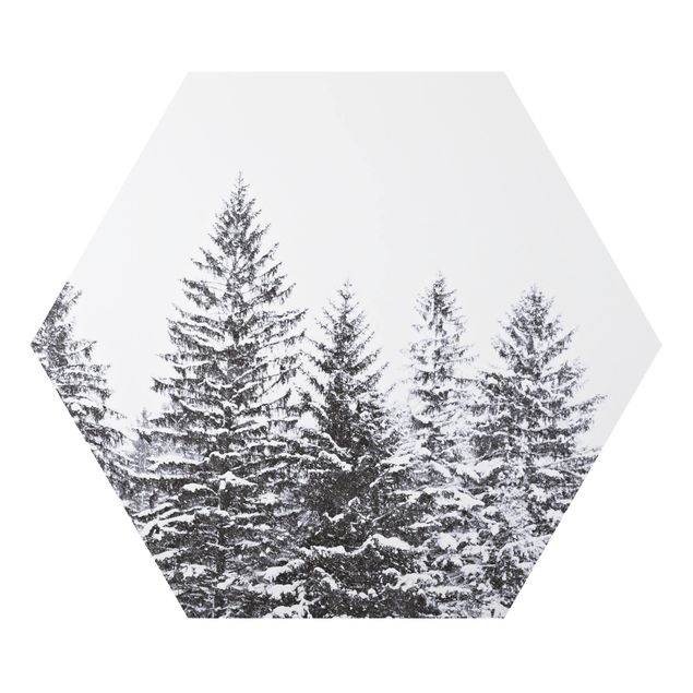 Hexagons Aluminium Dibond schilderijen Dark Winter Landscape