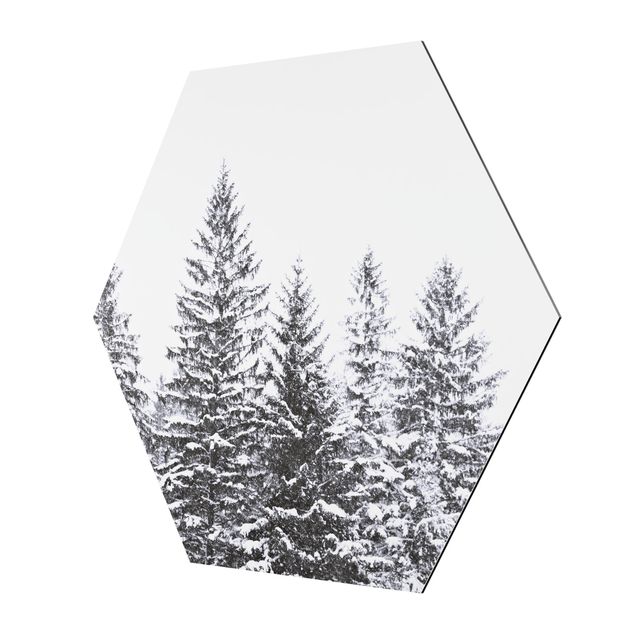 Hexagons Aluminium Dibond schilderijen Dark Winter Landscape