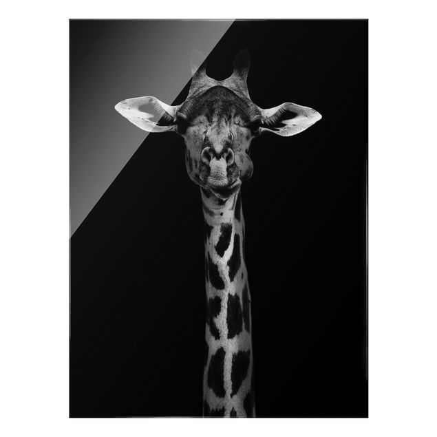 Glasschilderijen Dark Giraffe Portrait