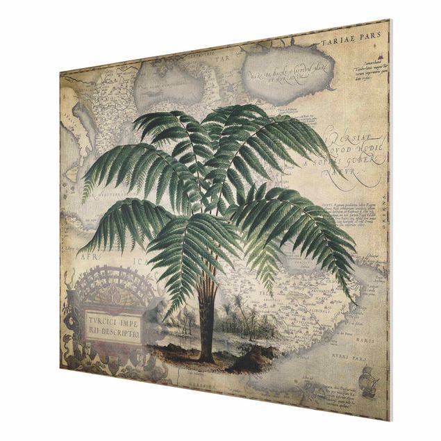 Forex schilderijen Vintage Collage - Palm And World Map