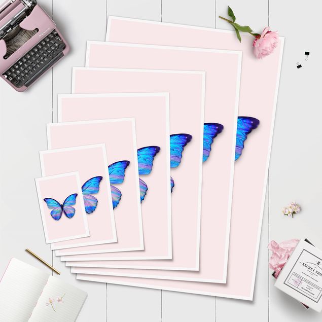 Posters Holographic Butterfly