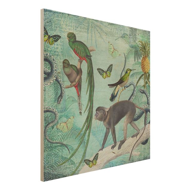 Houten schilderijen Colonial Style Collage - Monkeys And Birds Of Paradise