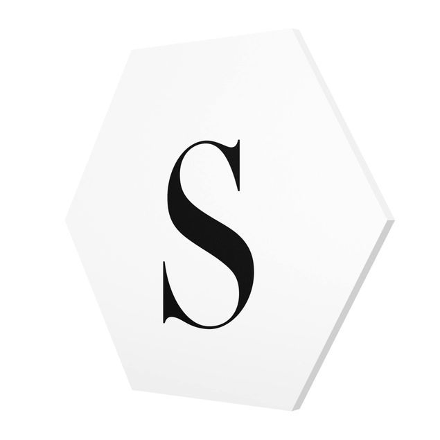 Hexagons Forex schilderijen Letter Serif White S