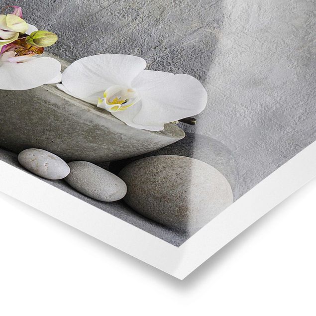Posters Zen Buddha With White Orchids