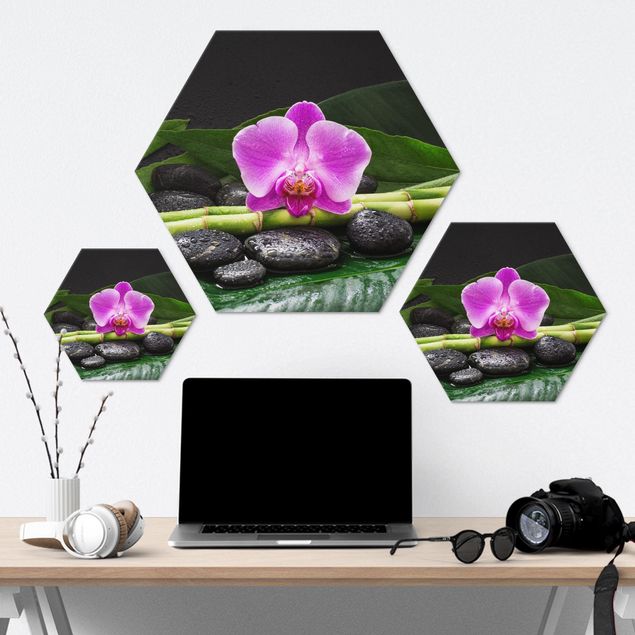 Hexagons Aluminium Dibond schilderijen Green Bamboo With Orchid Flower