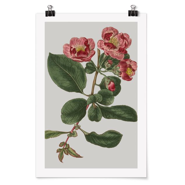 Posters Floral Jewelry I