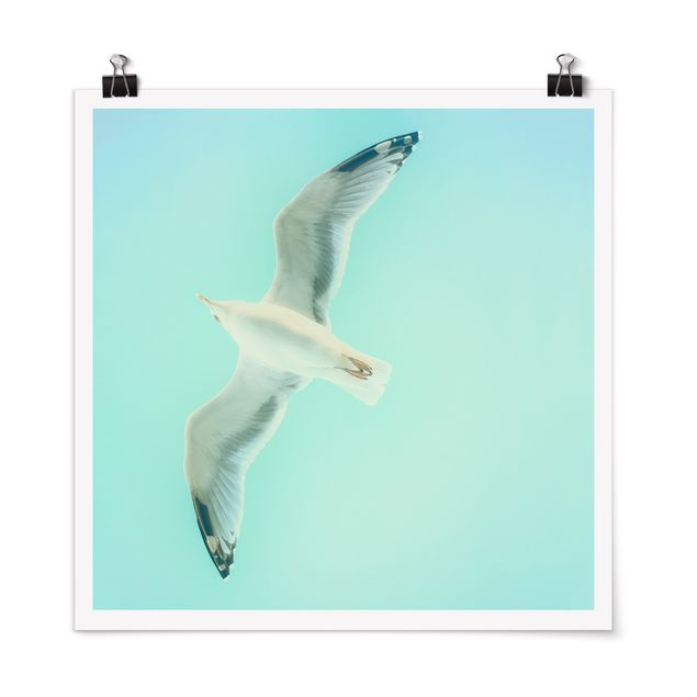 Posters Blue Sky With Seagull
