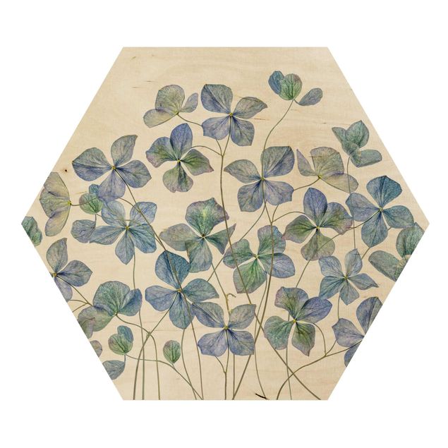 Hexagons houten schilderijen Blue Hydrangea Flowers