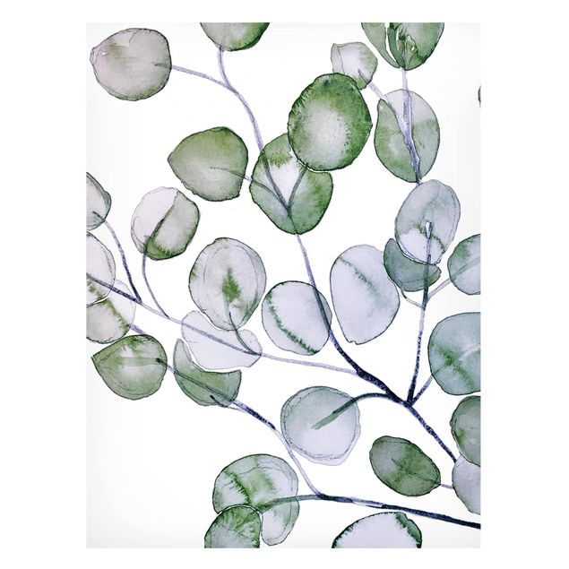 Magneetborden Green Watercolour Eucalyptus Branch