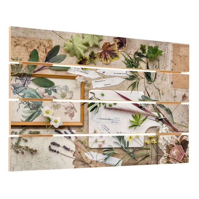 Houten schilderijen op plank Flowers And Garden Herbs Vintage