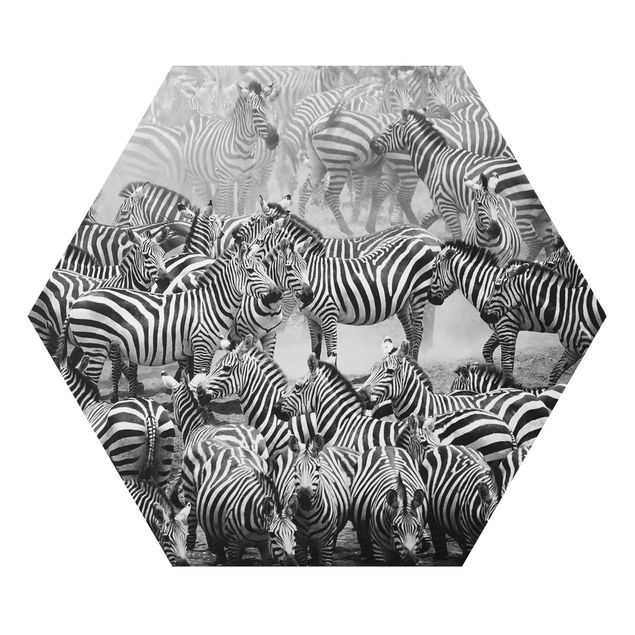 Hexagons Aluminium Dibond schilderijen Zebra herd II