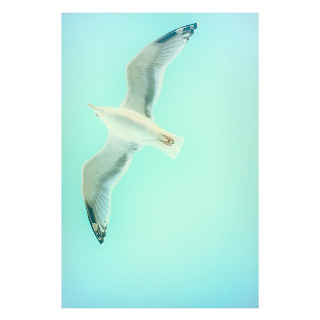 Magneetborden Blue Sky With Seagull