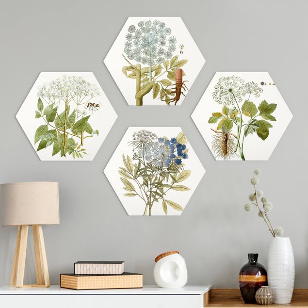 Hexagons Aluminium Dibond schilderijen - 4-delig Wild Herbs Board Set II
