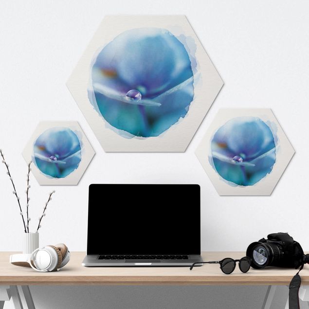 Hexagons Aluminium Dibond schilderijen WaterColours - Water Drops Hydrangeas