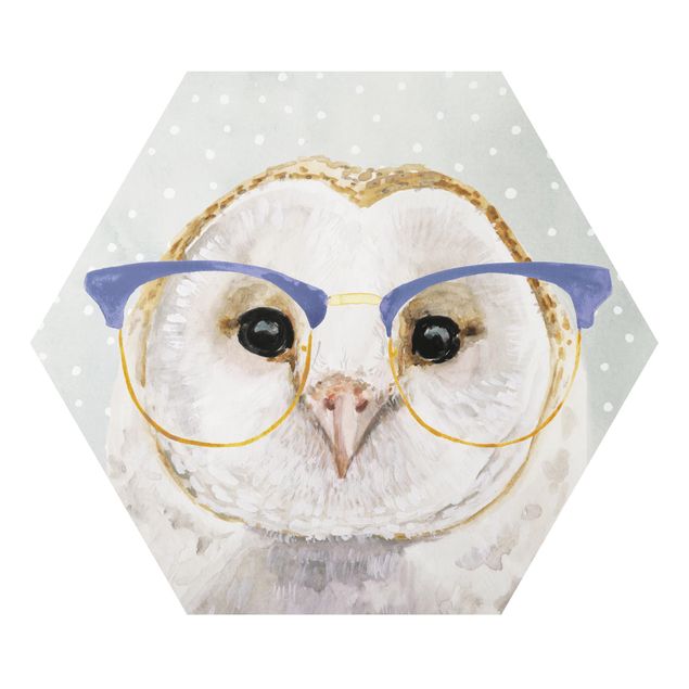Hexagons Aluminium Dibond schilderijen Animals With Glasses - Owl