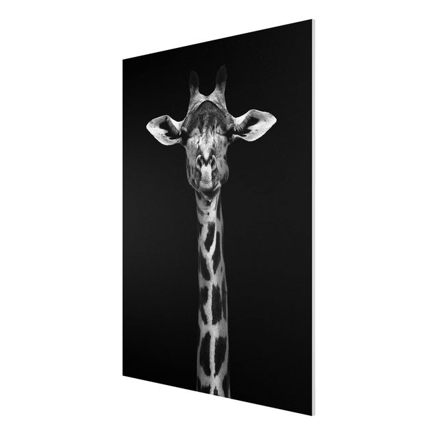 Forex schilderijen Dark Giraffe Portrait