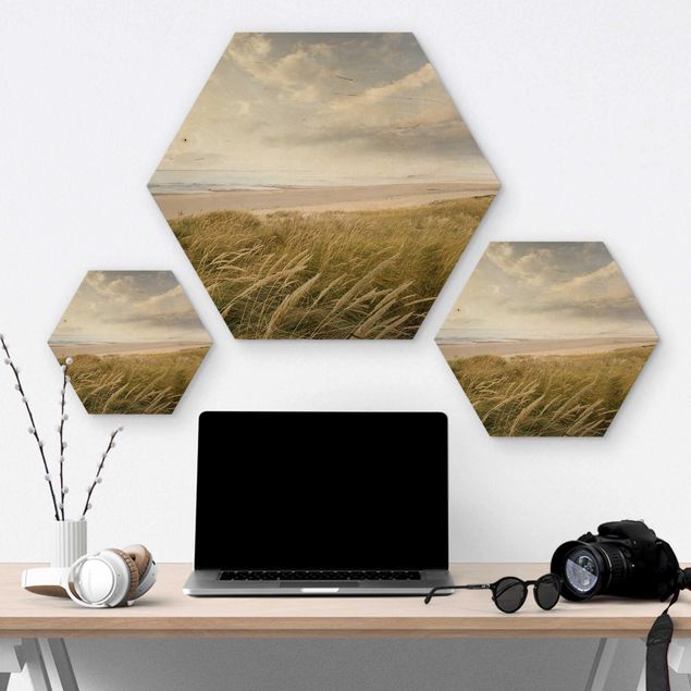 Hexagons houten schilderijen Divine Dunes