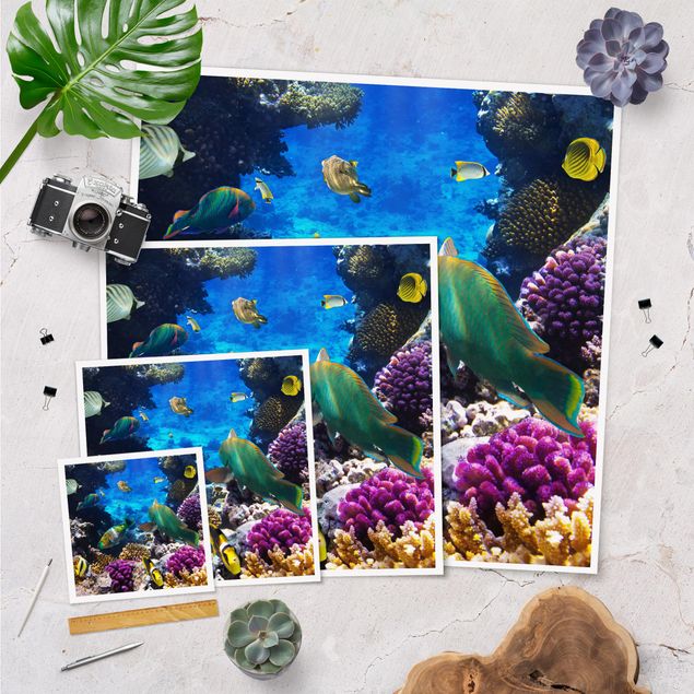 Posters Underwater Dreams