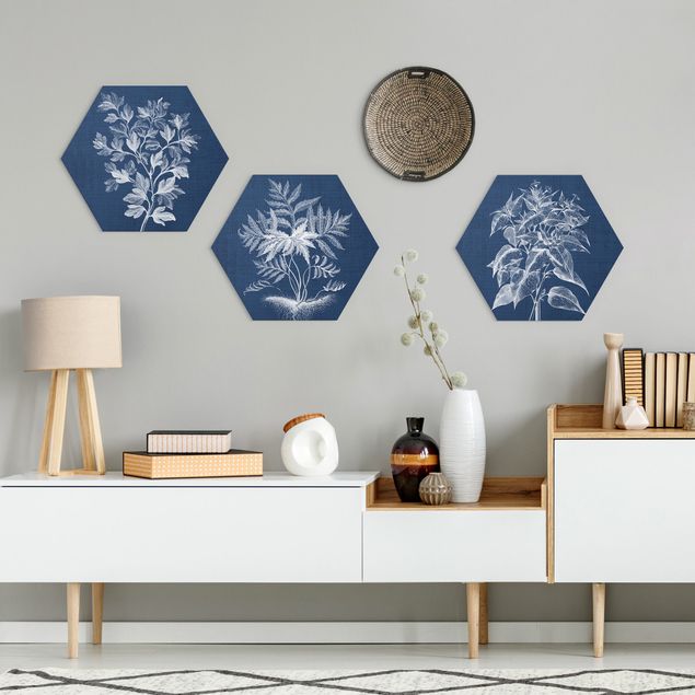 Hexagons Forex schilderijen - 3-delig Denim Plant Study Set I