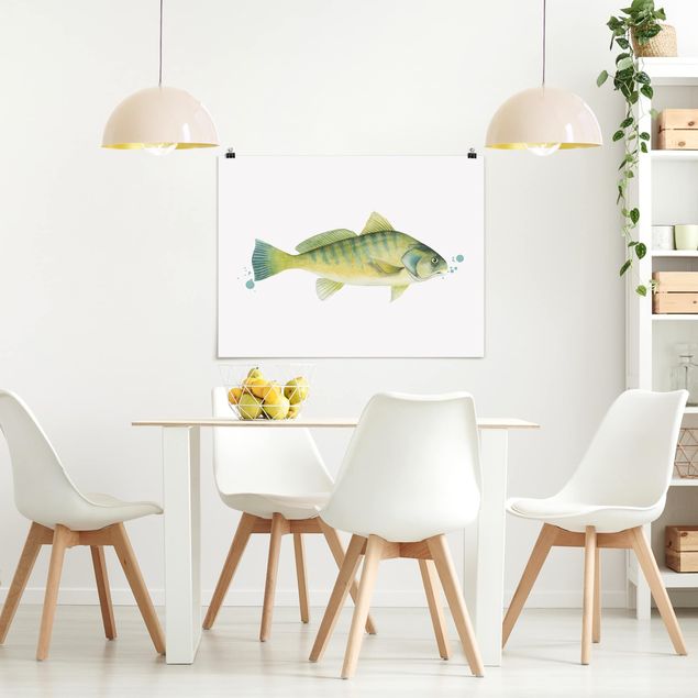 Posters Color Catch - Perch