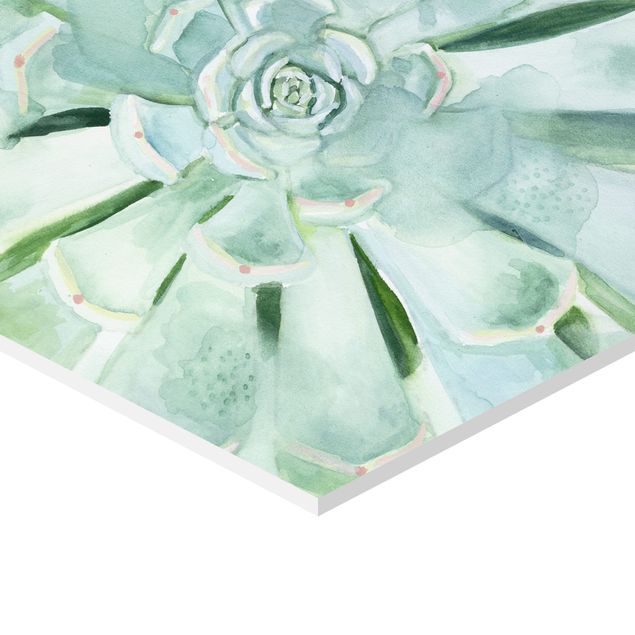 Hexagons Forex schilderijen - 2-delig Succulent Watercolour Set I