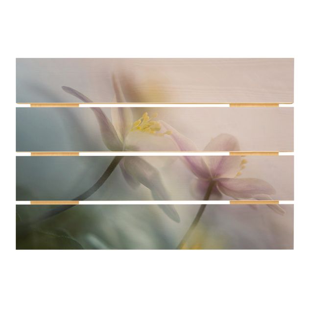 Houten schilderijen op plank Wood anemone
