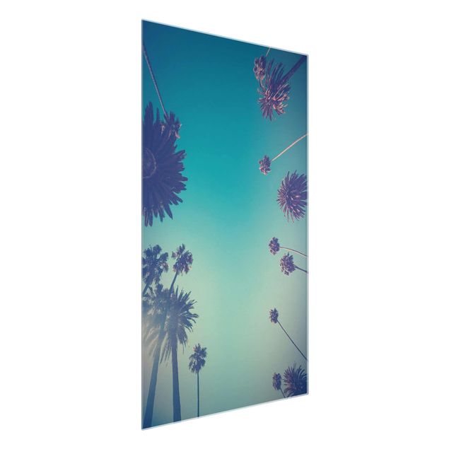 Glasschilderijen Tropical Plants Palm Trees And Sky II