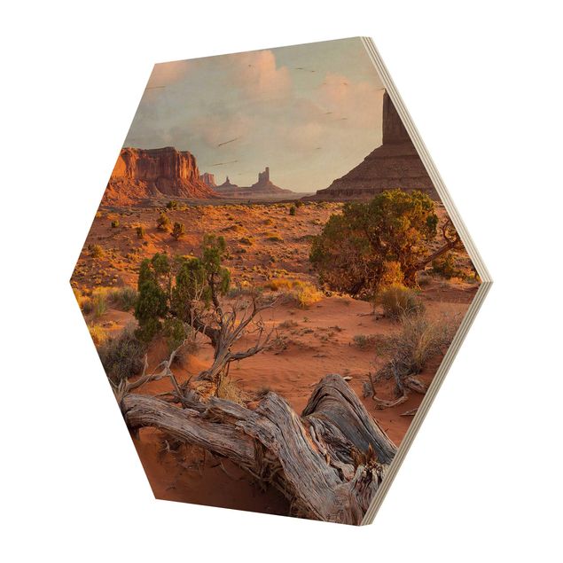 Hexagons houten schilderijen Monument Valley Navajo Tribal Park Arizona