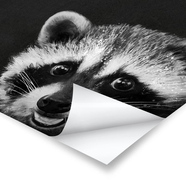 Posters Illustration Racoon Black And White Painting